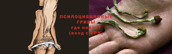 СК Алексин