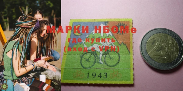 СК Алексин