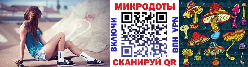 Псилоцибиновые грибы Cubensis Бронницы